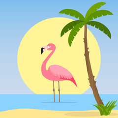 The flamingo stands in the water