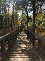 Obraz premium the end