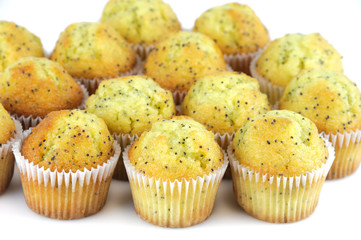  fresh baked small lemon muffins isolated on white background