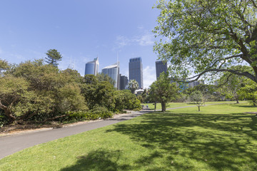 Fototapeta na wymiar Sydney Botanical Gardens