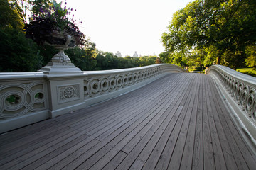 Wooden walkway of Bow bridge and trees at Central Park