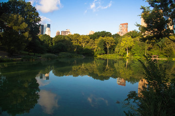 Fototapeta na wymiar Buildings in Manhattan and trees reflect on the lake at Central Park