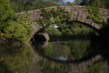 Gapstow bridge over the reflective river and plants in summertime, Central Park
