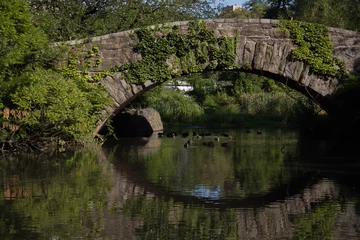 Wall murals Gapstow Bridge Gapstow bridge over the reflective river and plants in summertime, Central Park