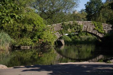 Fototapeta na wymiar Gapstow bridge and plant over the lake opposite a shore under the shade , Central Park
