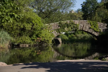 Poster Gapstow bridge and plant over the lake opposite a shore under the shade , Central Park