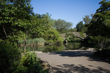 Fototapeta na wymiar Gapstow bridge and plant over the lake opposite a shore, Central Park