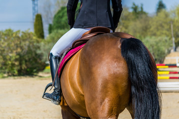 Equitation, saut d'obstacles, compétition.