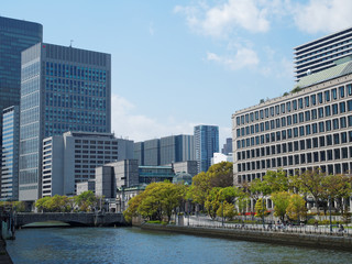 Fototapeta premium 土佐堀川と大阪市役所