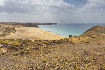 Sand beach bush desert in Canary Islands