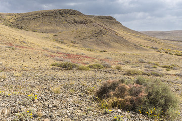 Rock mountain hill on desert Canary Islands