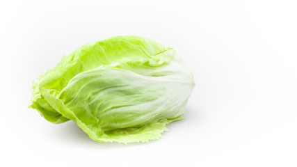 Fresh baby lettuce