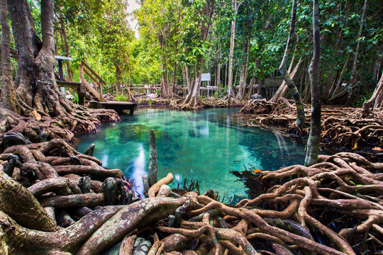 Tha Pom Klong Song Nam