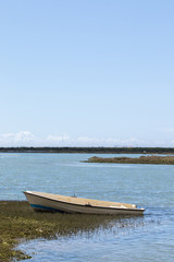 Fototapeta premium Beautiful marshlands