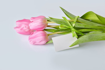 Spring flowers. Pink tulips bouquet with greeting card on a glass table. Space for text. White background.