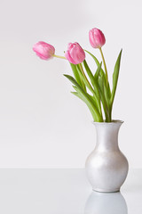 Spring flowers. Pink tulips bouquet in a vase. Space for text. White background.