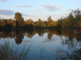 Sunset on the river,  trees on the banks of the river