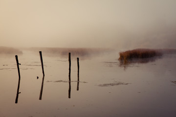 A misty morning by the lake. Horizontal. Space for text