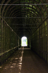 Green Tunnel