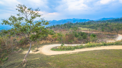 small dirt road inside the forest