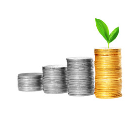Savings, increasing columns of gold and silver coins and green plant