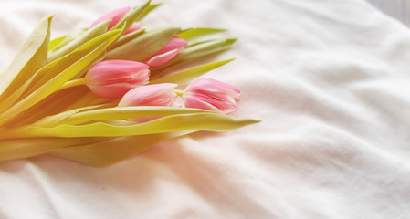 Pink tulips on white fabric, lit by the rays of the setting sun