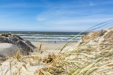 Obraz premium A picture postcard from the western coast of denmark in fresh sunny weather