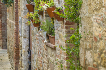 Cat sitting on window sill in medieval Italian street