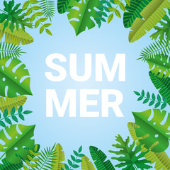 Tropical summer time paper background