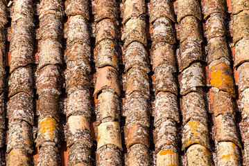 Dachziegel aus Terracotta