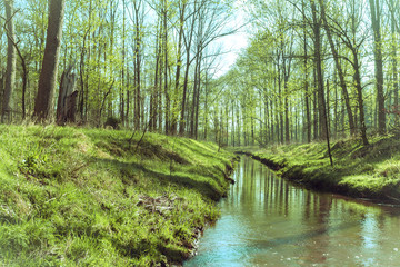 Fototapeta na wymiar Waldfluss