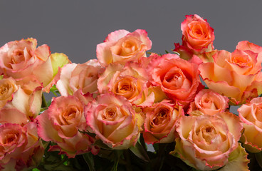 Rose sweet avalanche