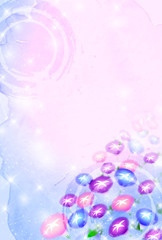 朝顔　夏　暑中見舞い　背景 