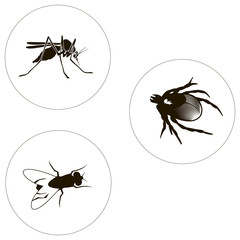 Insects Set Including Bug, Fly And Mosquito.