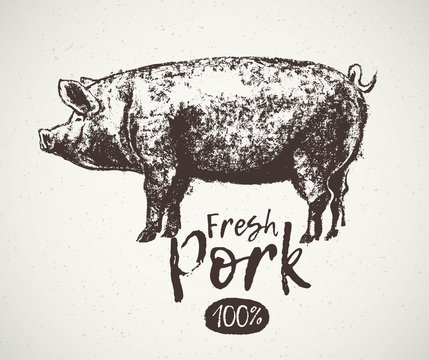 Graphical pig and inscription, hand drawing illustration.