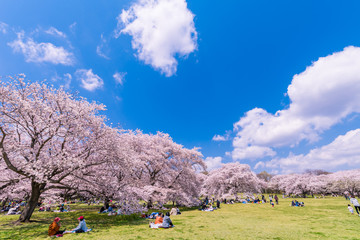 昭和記念公園