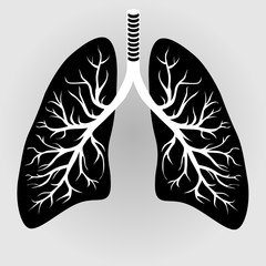 Human lungs organ isolated on white background representing the medical respiratory system to provide oxygen to the body vector eps 10
