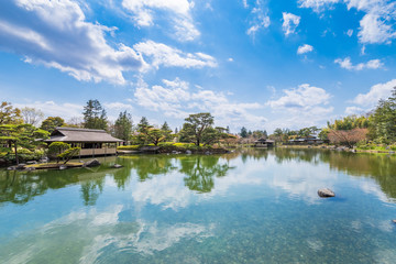 Obraz premium 昭和記念公園