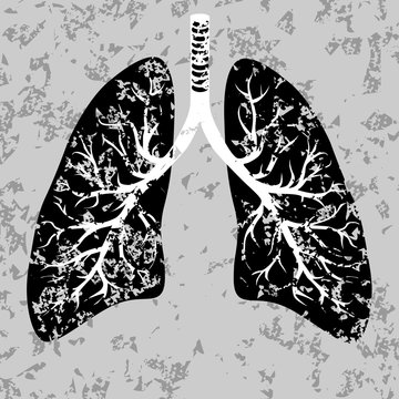 Human lungs organ isolated on white background representing the medical respiratory system to provide oxygen to the body vector eps 10