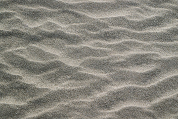 Obraz premium 砂浜_01