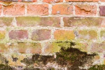 Red brick wall with some moss