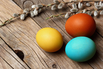 Easter eggs with willow with catkins on wooden background..copy space