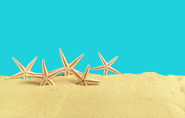 Fototapeta na wymiar Starfish seashells on the Beach