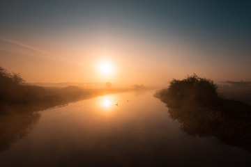 Two swans drifting along a misty river Nene at sunrise