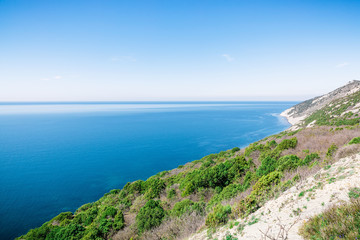 Fototapeta na wymiar Blue ocean, cliff and trees in the Mediterranean. Sunny day on sea