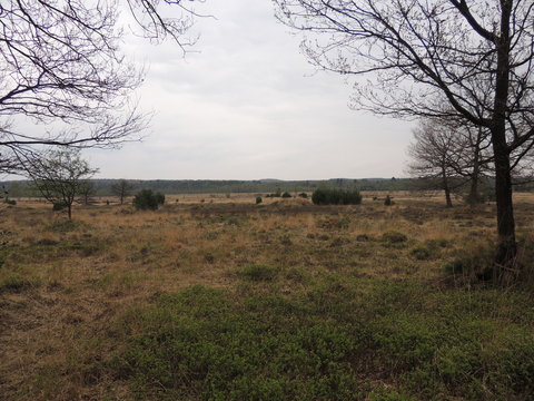 Naturpark Schwalm-Nette Heide krcp