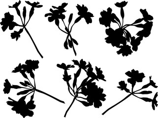set of six black flowers silhouettes