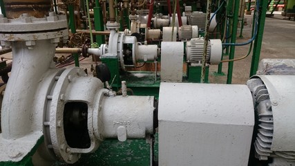 a row of electric motors for water pumps industry