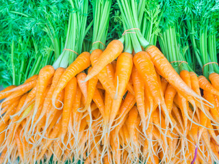 Abstract and closeup of orange carrots root background.