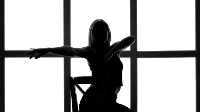 Silhouette of girl with long waving hair in profil on white background with grid window.